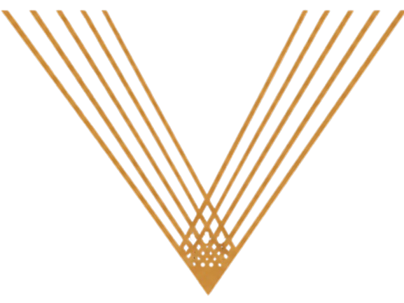 Vértice Energia